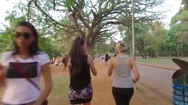 Mulheres Caminham Conversam Juntas Perto Lago — Vídeo de Stock