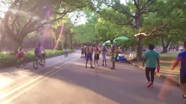 Giovani Brasiliani Sono Insieme Nel Parco — Video Stock