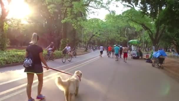 黒いシャツを着た女が公園で犬と歩いている — ストック動画