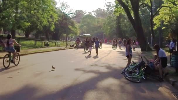 Grupo Mulheres Está Descansando Calçada Juntamente Com Suas Bicicletas Slow — Vídeo de Stock