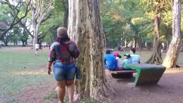Parc Mulți Copaci Oameni Care Joacă — Videoclip de stoc