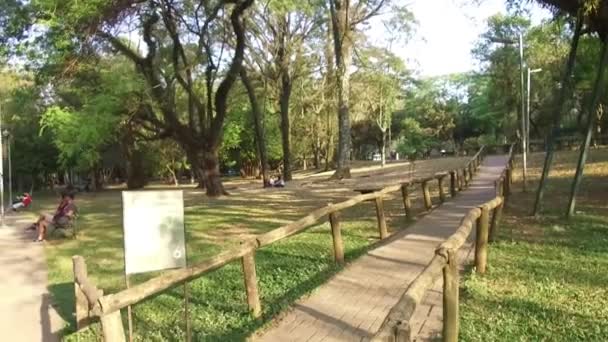 Pequeño Camino Con Valla Madera Jardín Mano — Vídeo de stock