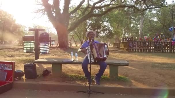 Muzician Stradă Cântând Pian Parc — Videoclip de stoc