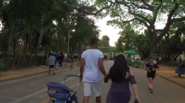 Parktaki bir çift puset.