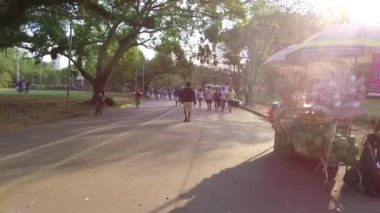 Ağaçların Altında Yürüyen ve Bisiklet Süren İnsanlar