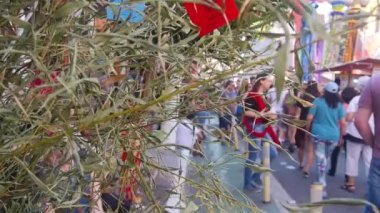  Sao Paulo 'daki Japon Festivali' nde Küçük Yeşil Ağaç