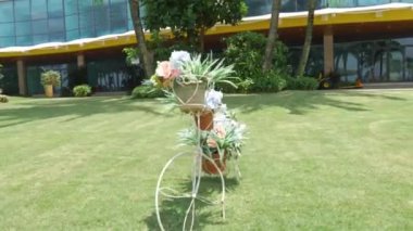 Plaj parkındaki güzel saksı