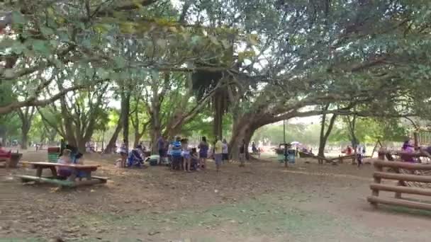 Люди Сидящие Вместе Деревом Долли Справа Налево — стоковое видео