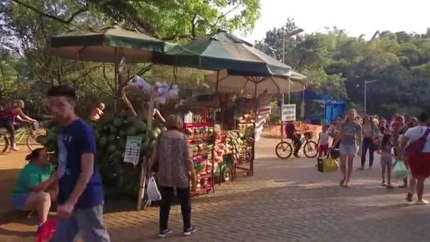 Snack Beverage Coconut Verkoper Voorwaarts — Stockvideo