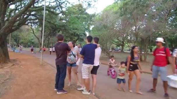 Touristen Spazieren Ibirapuera Park — Stockvideo
