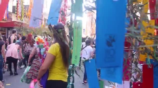 Japon Festivali Ziyaretçileri — Stok video