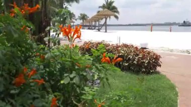 Çiçeklerle ve güzel plajlarla dolu bir bahçe..