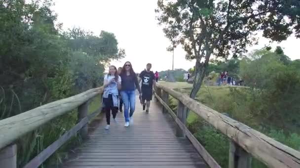 Tahta Bir Köprüde Kişi Yürüyor — Stok video