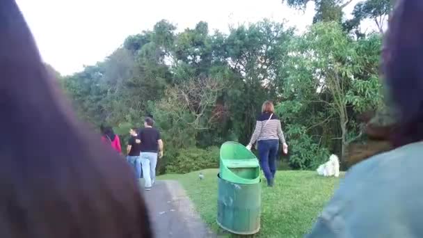 Una Donna Con Simpatico Cane Bianco Cammina Insieme Nel Parco — Video Stock