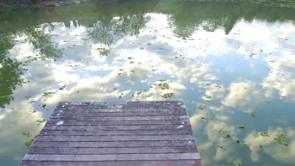 Όμορφη Πράσινη Λίμνη Μικρά Φυτά Χέρι Που Πραγματοποιήθηκε — Αρχείο Βίντεο