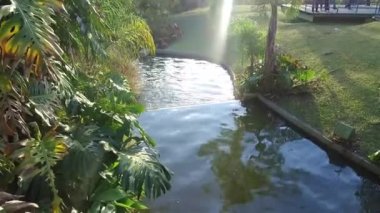 Küçük Havuzu ve Ziyaretçileri olan Güzel Park