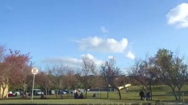 Bir sürü ağacın olduğu güzel bir şehir parkında manzara.