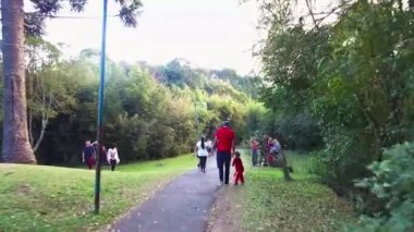 Ziyaretçiler çok güzel bir orman manzarasıyla küçük bir yolda yürüyorlar.