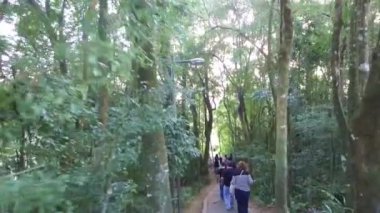 Ziyaretçiler, ormanlar arasında küçük bir yolda ilerliyorlar.