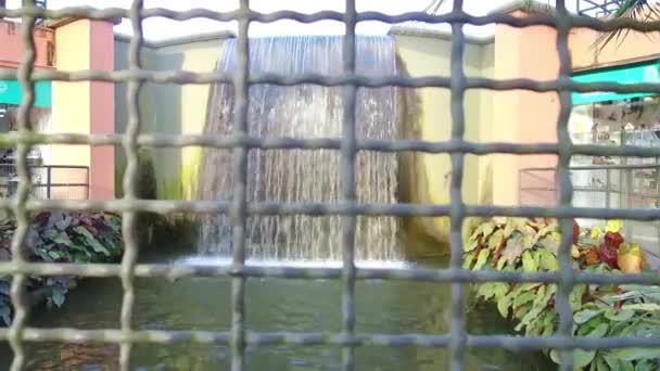Cachoeira Pequena Bonita Com Muitas Plantas Pequenas Lado Mão Held — Vídeo de Stock