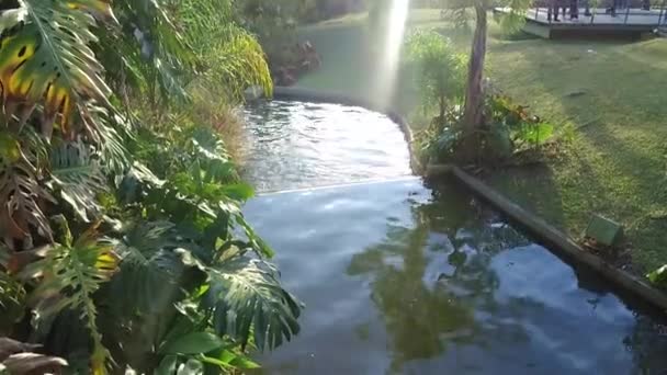 Hermoso Parque Con Una Pequeña Piscina Visitantes Inclinarse Hacia Arriba — Vídeo de stock