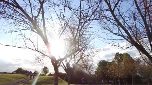 Blauwe Lucht Boven Een Groen Park Met Uitzicht Stad Voorwaarts — Stockvideo
