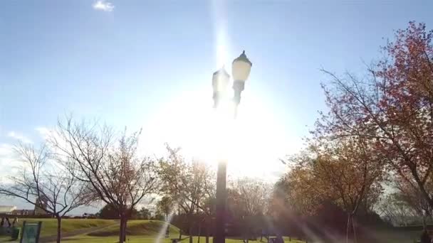 Bir Sürü Ağaçla Çevrili Yeşil Park Üzerindeki Mavi Gökyüzü — Stok video