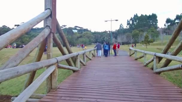 Επισκέπτες Περπατούν Μια Ξύλινη Γέφυρα Όμορφη Θέα Στο Λόφο Pan — Αρχείο Βίντεο