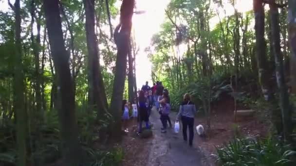 Ziyaretçiler Güzel Ormanlar Arasında Küçük Bir Yolda Yürüyorlar — Stok video