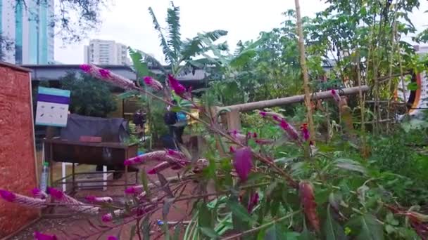 Paar Einem Kleinen Garten Mit Blick Auf Die Stadt — Stockvideo