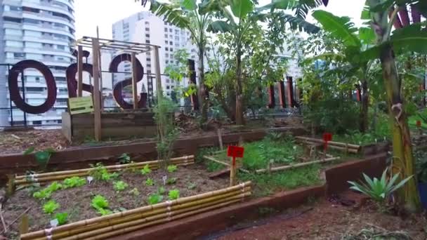 Mujer Con Chaqueta Verde Camina Pequeño Jardín Con Vista Ciudad — Vídeos de Stock
