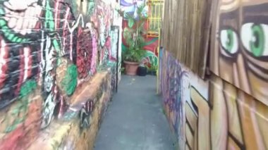 Önünde Bitkiler olan Graffiti Duvarlarıyla dolu küçük bir sokak. 
