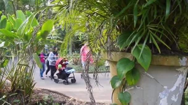Famille Marche Avec Landau Dans Parc Oiseaux — Video