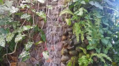 Yan Sürüngenli Küçük Taş Şelale