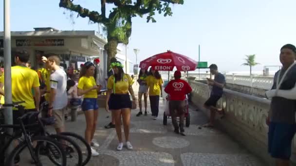 ブラジル代表チームをサポートするブラジル人ファン — ストック動画