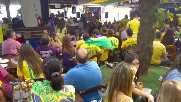 Fãs Brasileiros Apoiam Seleção Brasileira — Vídeo de Stock