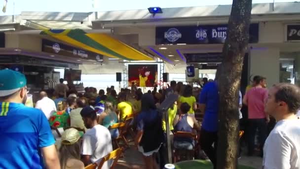 Brazylijscy Kibice Wspierający Brazylijską Drużynę Narodową — Wideo stockowe