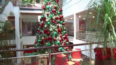 Brezilya 'da büyük bir Noel ağacı