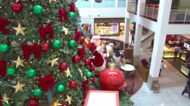 Brezilya 'da büyük bir Noel ağacı 