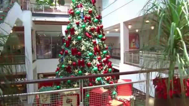 Grande Albero Natale Centro Commerciale Brasile — Video Stock