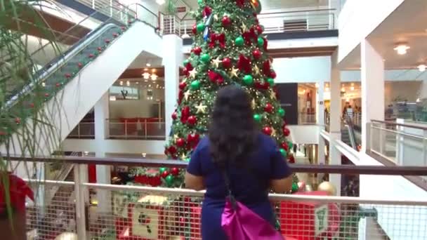 Mädchen Blau Blickt Auf Einen Großen Weihnachtsbaum Einem Einkaufszentrum Brasilien — Stockvideo