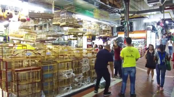 Bird Cage Shop Municipal Market Belo Horizonte — Vídeos de Stock