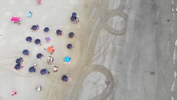 Top Aerial View Busy Beach Wit Black Umbrellas Brazil Dolly — Stock Video