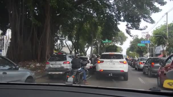 Trafikte Dolu Araçlar Ağaçların Altında Sıkışıklık — Stok video