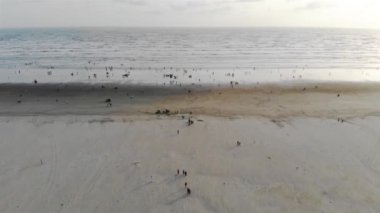 Deniz Manzarası - Sahildeki Güzel Dalga Manzaralı Seyircilerin En İyi Hava Manzarası