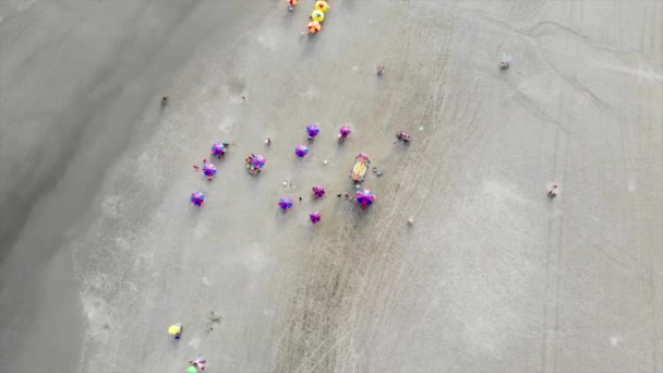 Top Aerial View People Umbrellas Sandy Beach Brazil Static — Video Stock