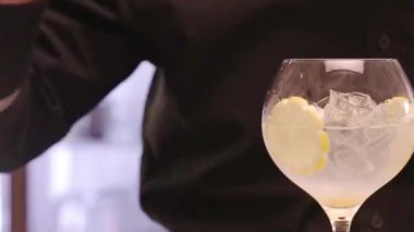 Yuzu Gin And Tonic Drink on background, close up