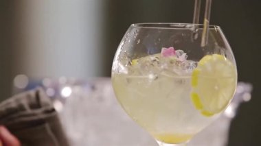 Yuzu Gin And Tonic Drink on background, close up