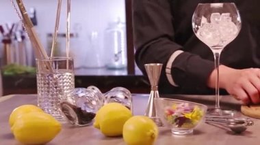 Yuzu Gin And Tonic Drink on background, close up