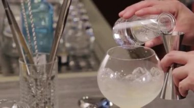 Yuzu Gin And Tonic Drink on background, close up